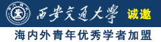 插插插BBwww诚邀海内外青年优秀学者加盟西安交通大学