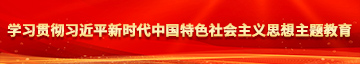 国内日日骚黄色网站学习贯彻习近平新时代中国特色社会主义思想主题教育